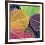 Aspen Fall Colors, Sierra Nevada-Vincent James-Framed Photographic Print