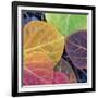 Aspen Fall Colors, Sierra Nevada-Vincent James-Framed Photographic Print