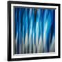 Aspen Feathers-Ursula Abresch-Framed Photographic Print