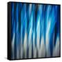 Aspen Feathers-Ursula Abresch-Framed Stretched Canvas