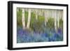 Aspen Forest Floor-Chris Vest-Framed Art Print