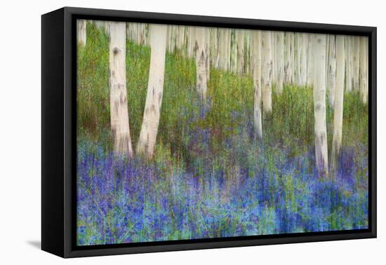 Aspen Forest Floor-Chris Vest-Framed Stretched Canvas