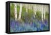 Aspen Forest Floor-Chris Vest-Framed Stretched Canvas