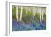 Aspen Forest Floor-Chris Vest-Framed Premium Giclee Print