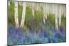 Aspen Forest Floor-Chris Vest-Mounted Premium Giclee Print