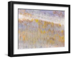 Aspen Forest-Donald Paulson-Framed Giclee Print