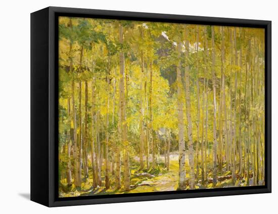 Aspen Forest-Oscar Berninghouse-Framed Stretched Canvas