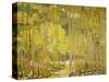 Aspen Forest-Oscar Berninghouse-Stretched Canvas