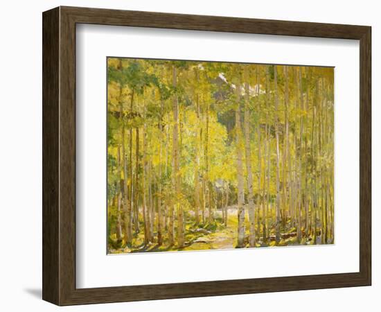 Aspen Forest-Oscar Berninghouse-Framed Art Print