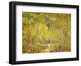 Aspen Forest-Oscar Berninghouse-Framed Art Print