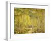 Aspen Forest-Oscar Berninghouse-Framed Art Print