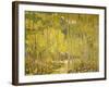 Aspen Forest-Oscar Berninghouse-Framed Art Print