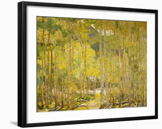 Aspen Forest-Oscar Berninghouse-Framed Art Print