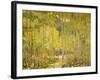 Aspen Forest-Oscar Berninghouse-Framed Art Print