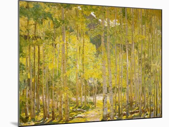 Aspen Forest-Oscar Berninghouse-Mounted Art Print