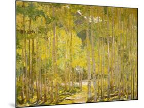 Aspen Forest-Oscar Berninghouse-Mounted Art Print