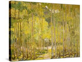 Aspen Forest-Oscar Berninghouse-Stretched Canvas