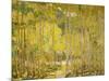 Aspen Forest-Oscar Berninghouse-Mounted Art Print