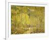 Aspen Forest-Oscar Berninghouse-Framed Art Print