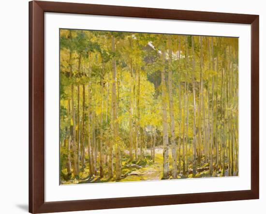 Aspen Forest-Oscar Berninghouse-Framed Art Print