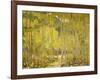 Aspen Forest-Oscar Berninghouse-Framed Art Print