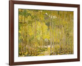 Aspen Forest-Oscar Berninghouse-Framed Art Print