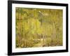 Aspen Forest-Oscar Berninghouse-Framed Art Print