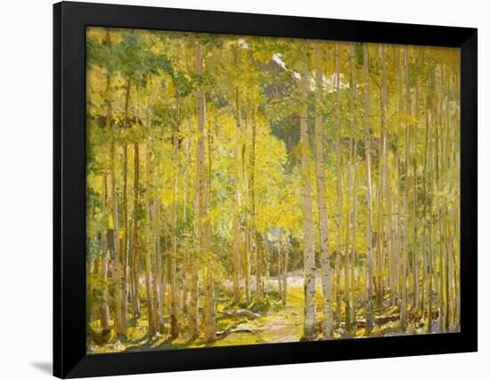 Aspen Forest-Oscar Berninghouse-Framed Art Print