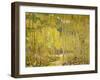 Aspen Forest-Oscar Berninghouse-Framed Art Print