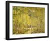 Aspen Forest-Oscar Berninghouse-Framed Art Print