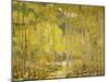 Aspen Forest-Oscar Berninghouse-Mounted Art Print