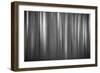 Aspen Form-Dan Ballard-Framed Photographic Print