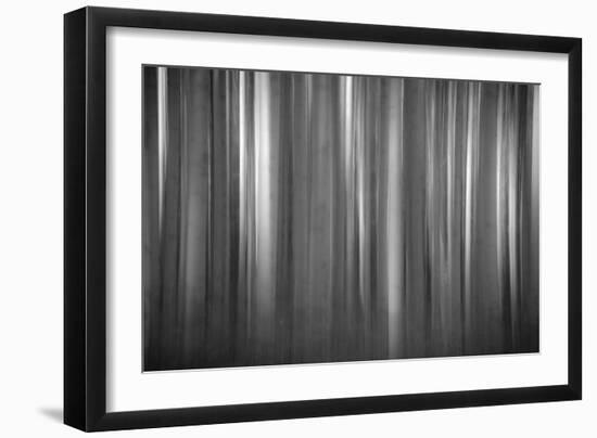 Aspen Form-Dan Ballard-Framed Photographic Print