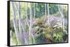 Aspen Glade-Julie G. Pollard-Framed Stretched Canvas