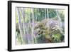 Aspen Glade-Julie G. Pollard-Framed Art Print