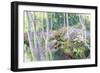 Aspen Glade-Julie G. Pollard-Framed Art Print