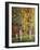 Aspen Glen I-David Drost-Framed Photographic Print