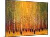 Aspen Glow-Gary Max Collins-Mounted Art Print