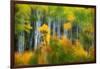 Aspen Grove Along Mcclure Pass-Darrell Gulin-Framed Photographic Print