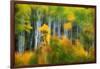 Aspen Grove Along Mcclure Pass-Darrell Gulin-Framed Photographic Print