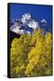 Aspen Grove and Maroon Bells-Darrell Gulin-Framed Stretched Canvas