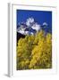 Aspen Grove and Maroon Bells-Darrell Gulin-Framed Photographic Print