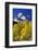 Aspen Grove and Maroon Bells-Darrell Gulin-Framed Photographic Print