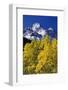 Aspen Grove and Maroon Bells-Darrell Gulin-Framed Photographic Print