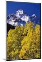 Aspen Grove and Maroon Bells-Darrell Gulin-Mounted Photographic Print