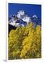 Aspen Grove and Maroon Bells-Darrell Gulin-Framed Photographic Print