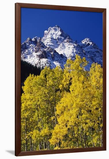 Aspen Grove and Maroon Bells-Darrell Gulin-Framed Photographic Print