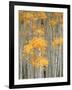 Aspen Grove, Fish Lake Plateau Near Fish Lake National Forest, Utah, USA-Scott T^ Smith-Framed Photographic Print