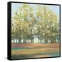 Aspen Grove I-Julia Purinton-Framed Stretched Canvas