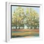 Aspen Grove I-Julia Purinton-Framed Art Print